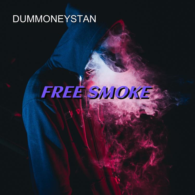 Dummoneystan's avatar image