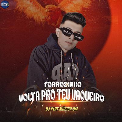 Forrozinho Volta pro Teu Vaqueiro By DJ PLAY MÚSICA DM's cover