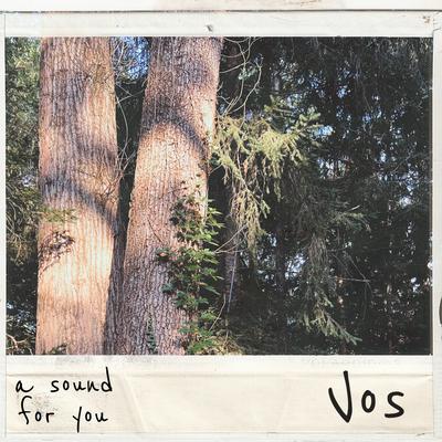 Vos By a sound for you's cover