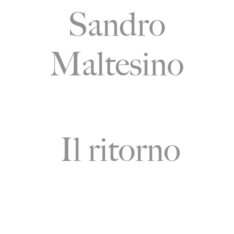 Sandro Maltesino's avatar image