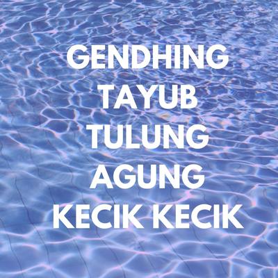 Gendhing Tayub Tulung Agung Kecik Kecik's cover