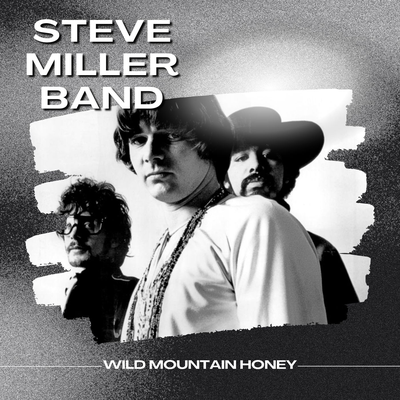 Wild Mountain Honey: Steve Miller Band's cover