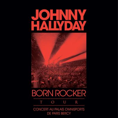 Sang pour sang (en duo avec David Hallyday) [Live à Bercy 2013] By Johnny Hallyday, David Hallyday's cover