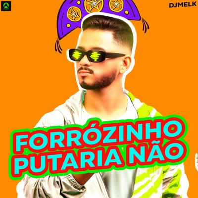 Forrózinho Putaria Não (feat. Alysson CDs Oficial) By djmelk, Alysson CDs Oficial's cover