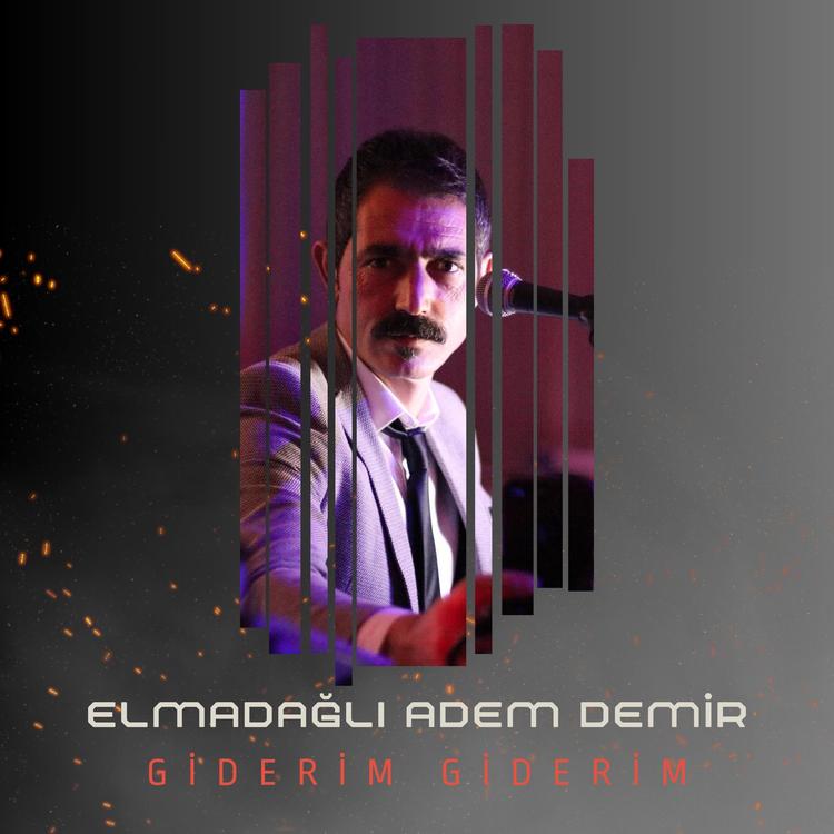 Elmadağlı Adem Demir's avatar image