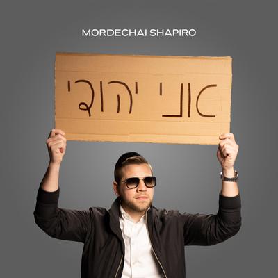 Ani Yehudi By Mordechai Shapiro's cover