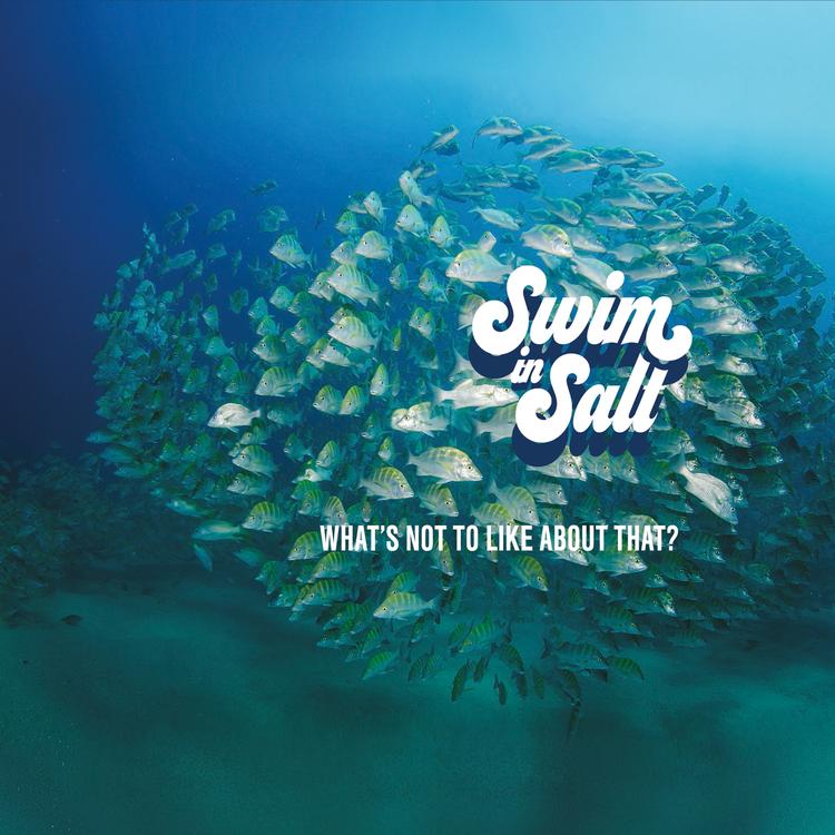Swim in Salt's avatar image