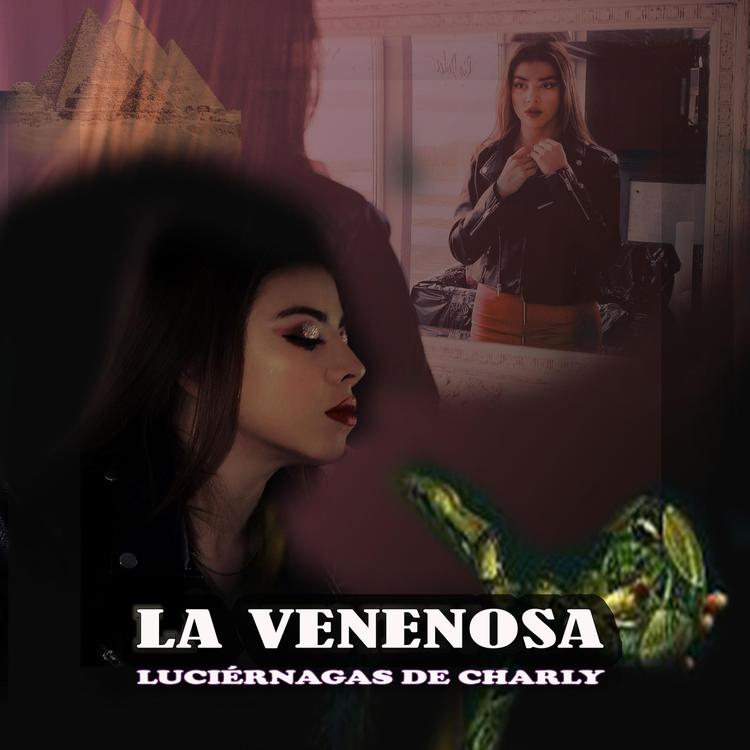 Luciérnagas de Charly's avatar image