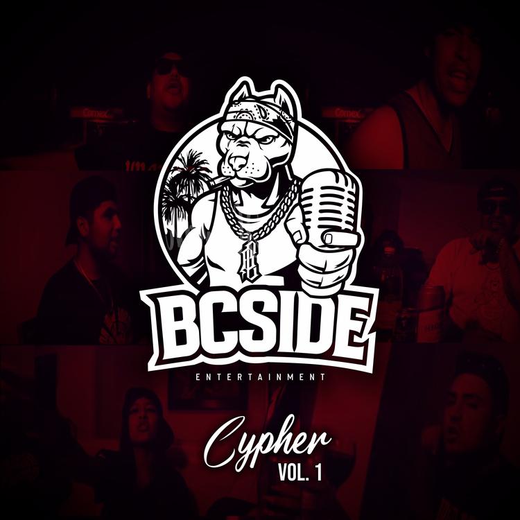 BCSIDEMX's avatar image