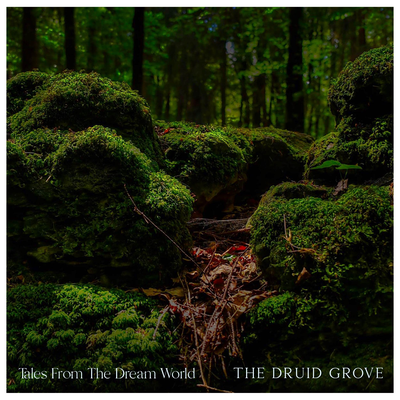 The Druid Grove (from "Baldur's Gate 2 Shadows of Amn") By Tales From The Dream World's cover