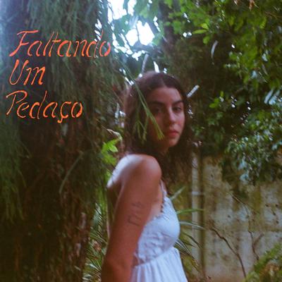 Faltando um Pedaço By Luiza Villa's cover