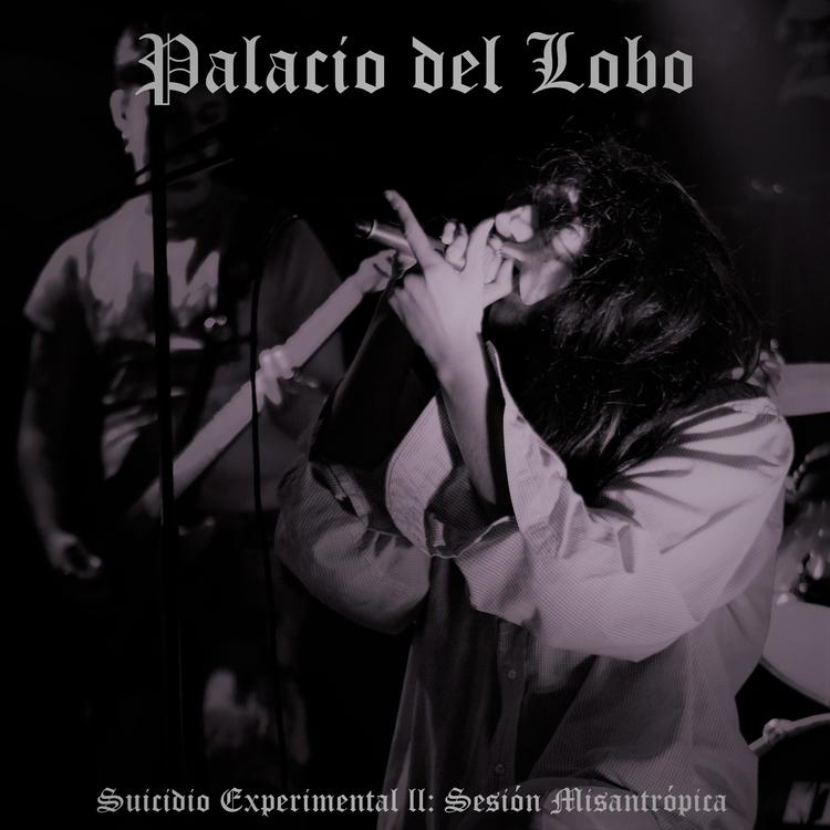 Palacio Del Lobo's avatar image