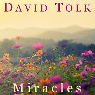 Miracles By David Tolk's cover