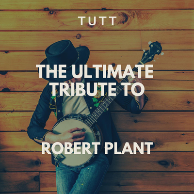 Please Read The Letter (Originally Performed By Alison Krauss And Robert Plant) By T.U.T.T's cover