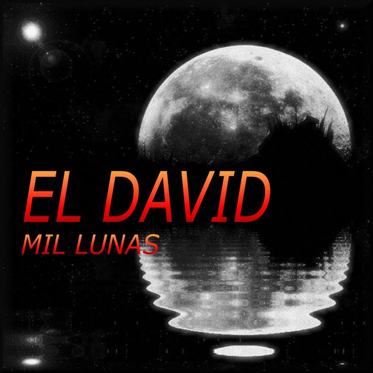 El David's avatar image