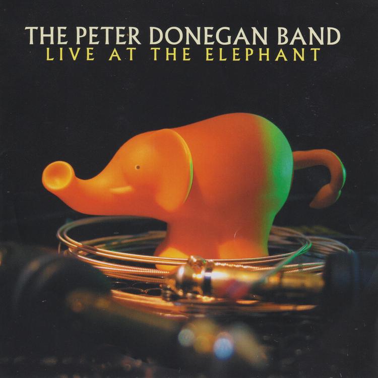 The Peter Donegan Band's avatar image