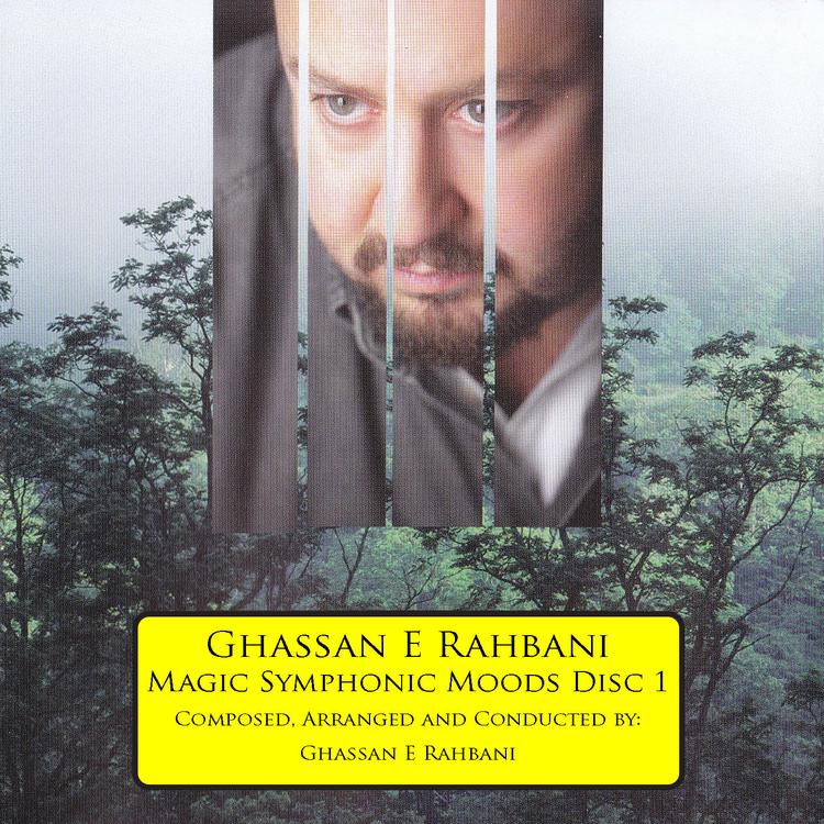 Ghassan E. Rahbani's avatar image