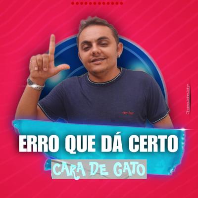 ERRO QUE DÁ CERTO's cover