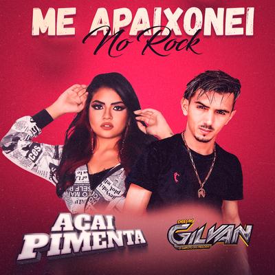 Me Apaixonei no Rock By Dj Gilvan O Garoto do Melody's cover