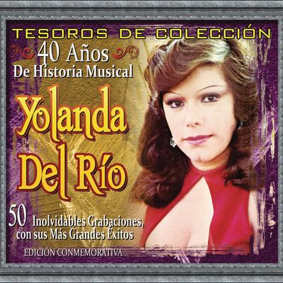 Tesoros De Colección - 40 Años de Historia Musical's cover