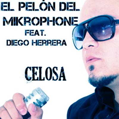 Celosa (feat. Diego Herrera)'s cover