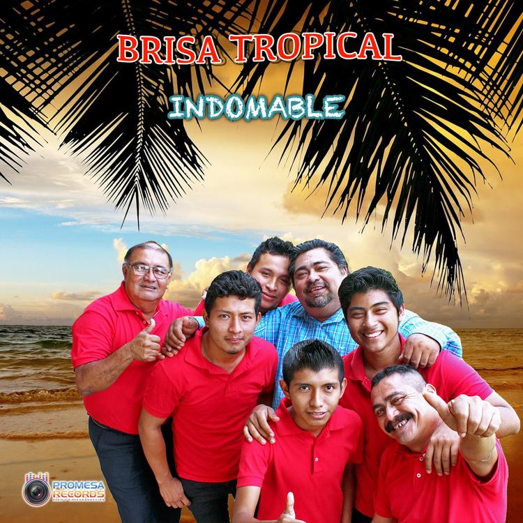 Brisa Tropical's avatar image