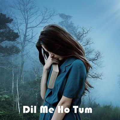 Dil Me Ho Tum's cover