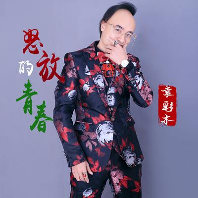 怒放的青春's cover