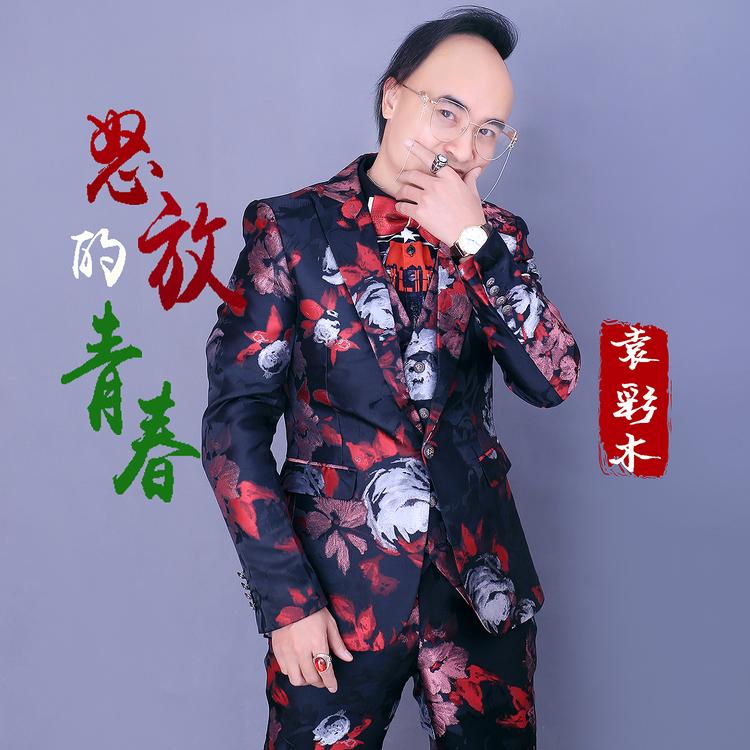 袁彩木's avatar image