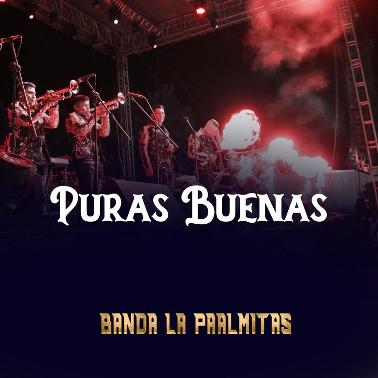 Banda La Paalmitas's avatar image