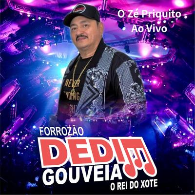 Não Me Deixe (Ao Vivo) By Dedim Gouveia's cover