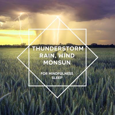 Thunderstorm, Rain & Wind Sounds, Pt. 96's cover
