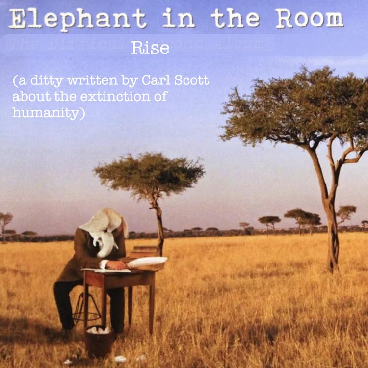 Elephant in the Room's avatar image