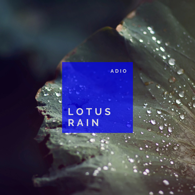 Lotus Rain By Adio's cover