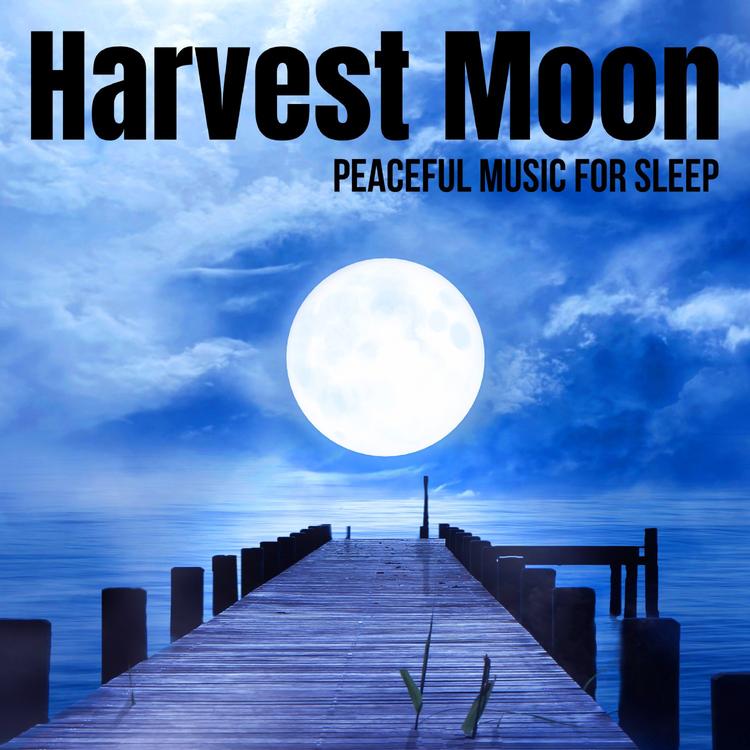 Peaceful Music For Sleep's avatar image