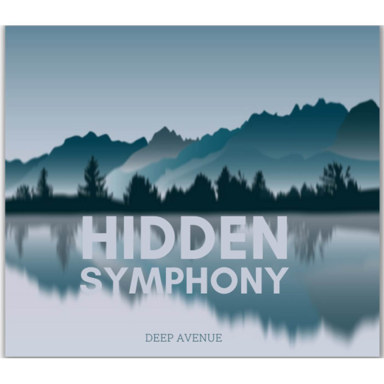 Hidden Symphony's avatar image