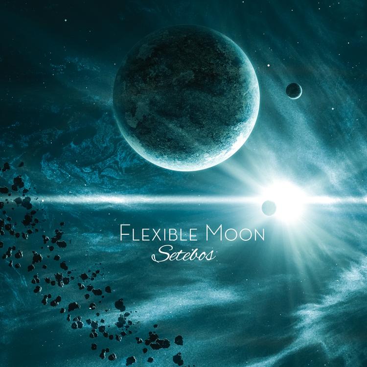 flexible moon's avatar image