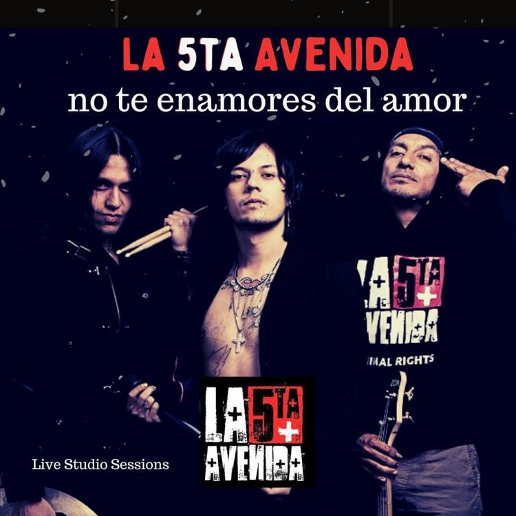 La 5ta. Avenida's avatar image