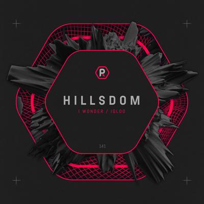 Igloo By Hillsdom's cover