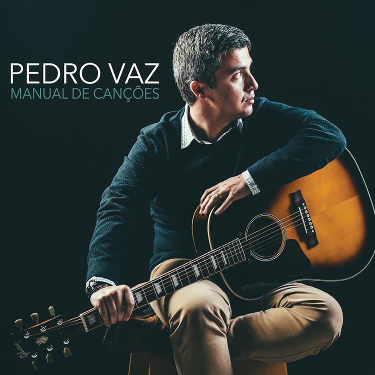 Pedro Vaz's avatar image