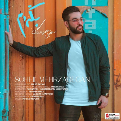 Begardam By Soheil Mehrzadegan's cover