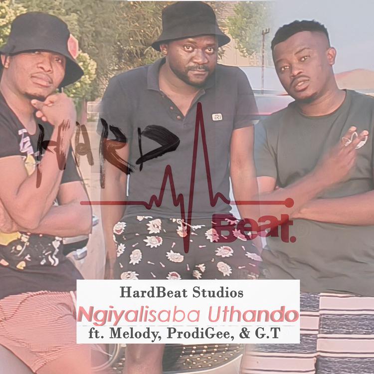 HardBeat Studios's avatar image