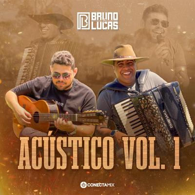 Meu Disfarce (Acústico) By Bruno e Lucas's cover