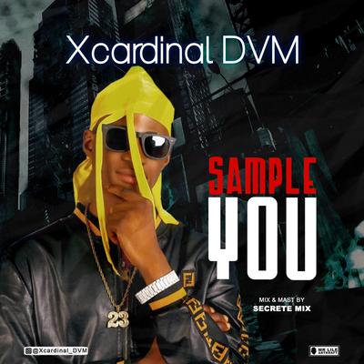 Xcardinal DVM's cover