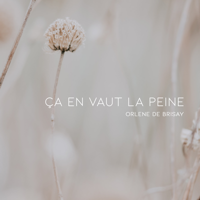 Ça en vaut la peine By Orlene de Brisay's cover