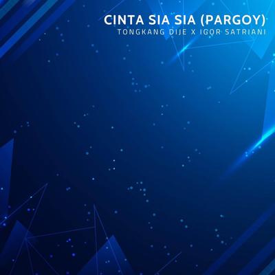 Cinta Sia Sia (Pargoy Remix)'s cover