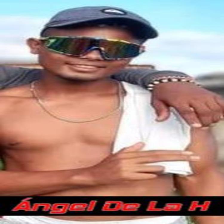 Angel De La H's avatar image