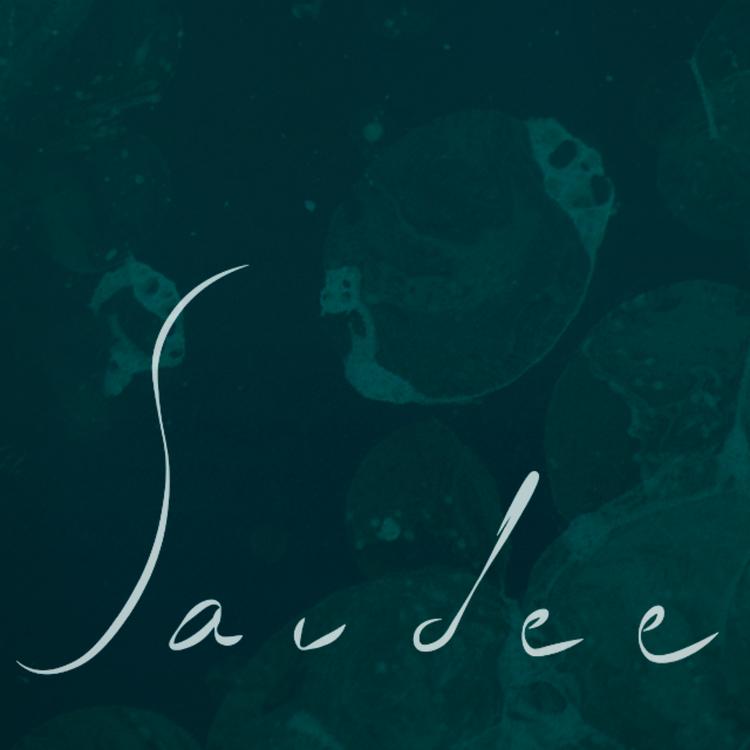 SauDee's avatar image