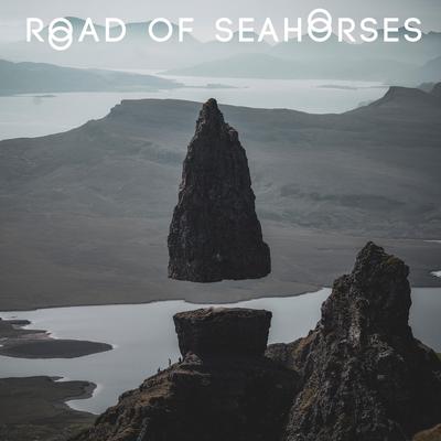 Road of Seahorses's cover