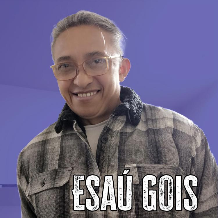Esaú Gois's avatar image